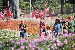 BIB: 
                            <button type="button" onclick="openModal(27794132)" class="btn btn-primary btn-sm float-right btn-popup" data-toggle="modal" data-target=".modal-high-quality">
                        <i class="fas fa-shopping-cart"></i> Add to Cart
                    </button>
                                            <button type="button" onclick="isThisMe(27794132, true)" class="btn btn-success btn-sm float-right btn-popup btn-isme hidden" data-toggle="tooltip" data-placement="bottom" title="นี่คือรูปของคุณใช่ไหม คลิกที่นี่เพื่อเอาเข้าอัลบั้ม">
                        <i class="fas fa-plus"></i> Add to album
                    </button>
                    <button type="button" onclick="isThisMe(27794132, false)" class="btn btn-warning btn-sm float-right btn-popup btn-isnotme hidden">
                        <i class="fas fa-ban"></i> Remove from album
                    </button>